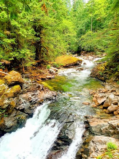 a clear stream flows through a forest