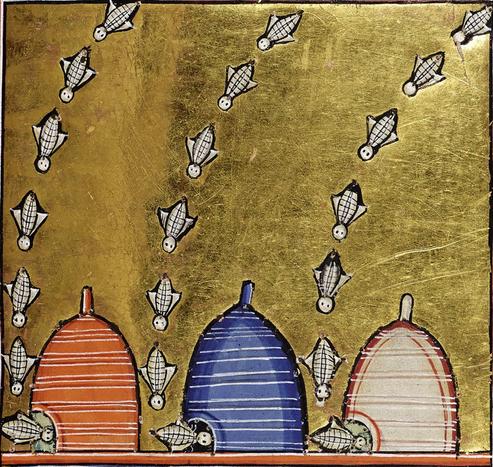 Bees. Aberdeen Bestiary, England ca. 1200. Aberdeen University Library, MS 24, fol. 63r.
#medieval #MedievalArt