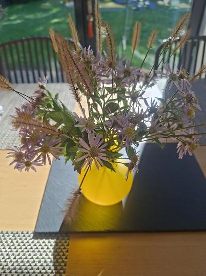 Un petit bouquet d’asters mauves et de graminées à pompons dans un vase jaune traversé par un rayon de soleil. 
A small bouquet of mauve asters and pompom grasses in a yellow vase, with a ray of sunlight streaming through it.