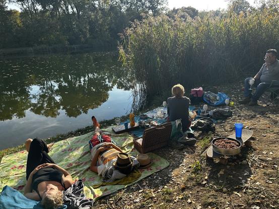 A group of people sit on blankets in the sun beside a lake. There is an apple cake in the foreground.
