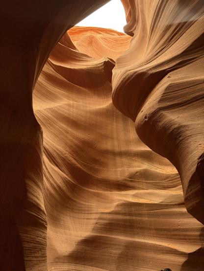 A view inside a narrow, winding canyon with smooth, wavy sandstone walls in warm tones of orange and brown. The top opens to the sky, allowing light to filter through.