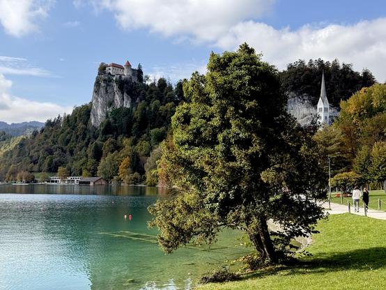 View of, er, a tree standing on a lake shore. To the left in the distance, atop a cliff rising from the same lakeshore stands a castle. On the right, a church spire peeks over some more trees.