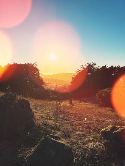 A brilliant photo of the sun setting over the distant hills. We are standing in a grassy field in San Francisco’s McLaren Park, with three large rocks directly in front of us; watching the sun set over the hills between two groves of Monterey Pines. In the distance we see rows upon rows of houses in the Excelsior District and beyond, basking in the radiance. Giant red and yellow light orbs, cast by the rays of the setting sun, scatter over the image bathing the scene in a warm orange glow. It was a moment.