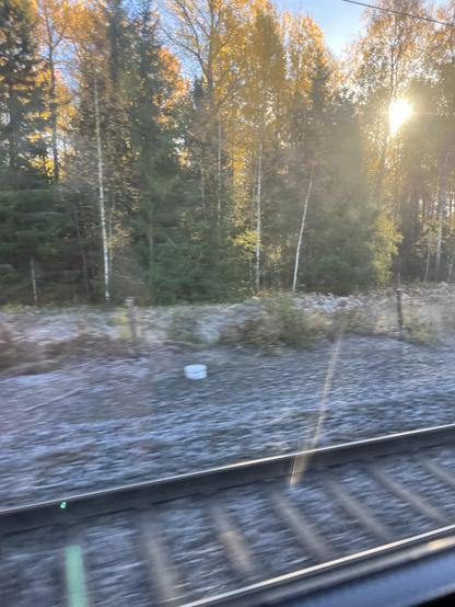 Kig ud ad vinduet. Solen skinner gennem birketræer, i forgrunden nogle togskinner.