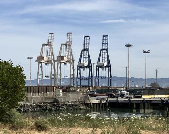 Four huge cranes, the type used for loading and unloading container ships, as seen at Heron's Head park in San Francisco.