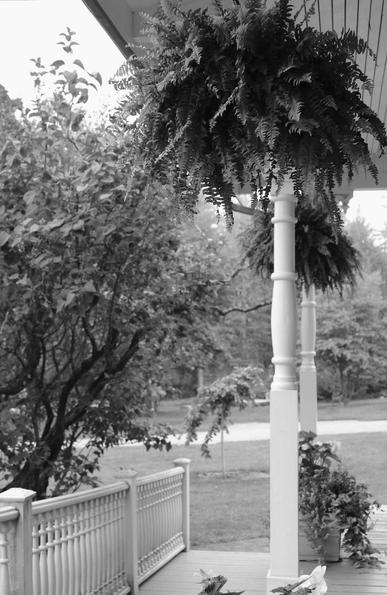 Black and white photograph taken from the porch of an old house, showing two columns supporting the upper floor and two large ferns hanging in pots, a flower pot placed on the wooden gallery, and the ornate wooden railing closing the space. A grove grows just on the other side, with the foliage jutting towards the porch, and the rest of the grassy ground surrounded by tall trees visible in the distance.

Photographie noir et blanc prise à partir du porche d'une maison ancienne, montrant deux colonnes soutenant l'étage supérieur et deux grosses fougères suspendues dans des pots, un pot de fleur posé sur la galerie en bois, et le garde-corps en bois orné refermant l'espace. Un bosquet pousse juste de l'autre côté, avec le feuillage qui s'avance vers le porche, et le restant du terrain gazonné entouré de grands arbres visibles au loin.