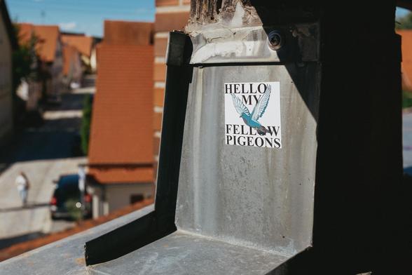 A sticker on a wall with a drawing of a pigeon that reads "HELLO MY FELLOW PIGEONS".