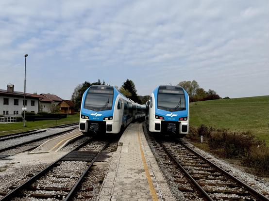 Two blue and white Stadler trains at narrow and low platforms. Because the tracks are in a curve to the right, Both trains are tilted to the right quite a bit.
