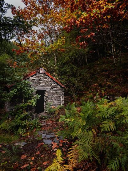 An abandoned miner's cottage made of grey dry-stone stands overgrown in a woodland. Bright green ferns cover the forest floor in the foreground, while overhead trees display red, yellow, and orange autumn leaves under an overcast sky.