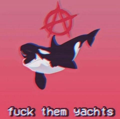 its a gradient background, from white to pink... with a A from anarchy on top, a killer whale, and then it says:
"fuck them yachts"