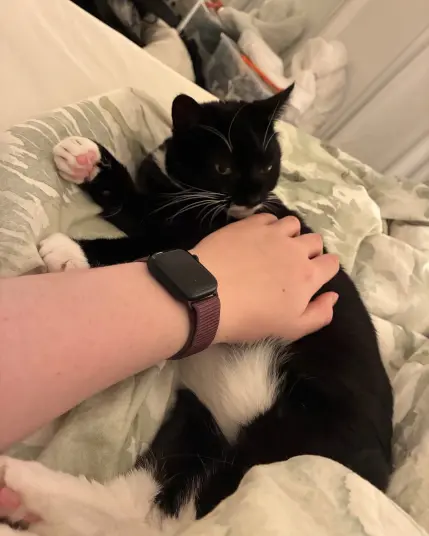 nia suddenly alert and sniffing the hand that scritches