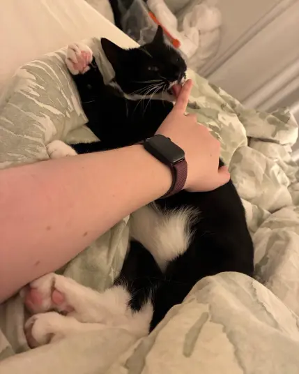 me raising my pinkie finger on the hand that scritches. in response nia starts licking it because idk shes just like that