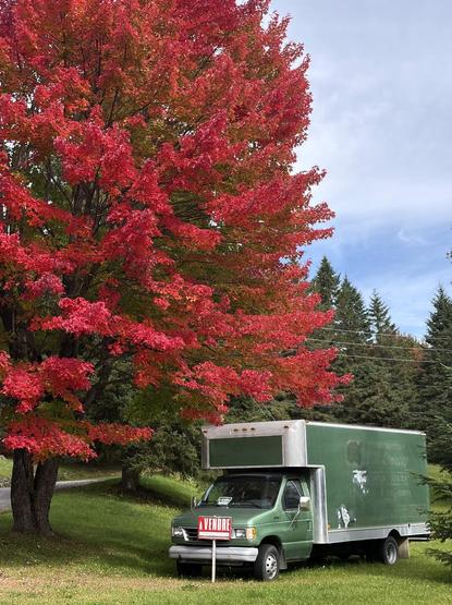 Photograph of a green box truck with a red "For Sale" sign planted in front, parked on the green turf below a large bright red maple tree overlooking to the left. Behind, large green conifers under a blue sky, with a small alley to the left behind the maple tree.

Photographie d'un camion cube vert avec une pancarte rouge "À vendre" plantée devant, stationné sur le gazon vert en dessous d'un grand érable d'un rouge vif surplombant à gauche. Derrière, de grands conifères verts sous un ciel bleu, avec une petite allée à gauche derrière l'érable.