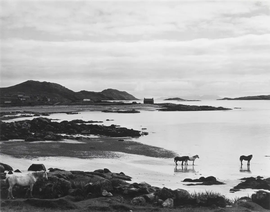 "Tir a'Mhurain" was created in 1954 by the American photographer Paul Strand.

Tir a'Mhurain (sometimes translated as 'Land of Marram Grass')

Paul Strand (1890–1976)

Created on the island of South Uist in the Outer Hebrides, Scotland (presumably near Kilbride).

Gelatin silver print.