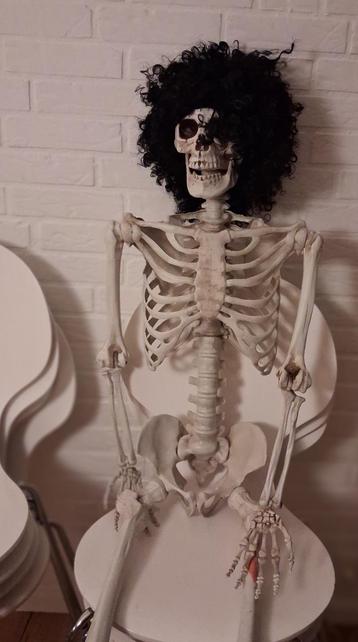 Plastik-skelet med afro-paryk