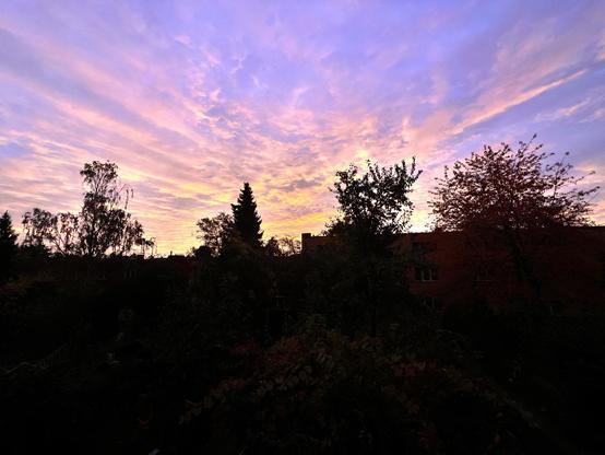 A vibrant sunrise casts hues of pink, purple, and orange across the sky, with silhouetted trees and buildings in the foreground.