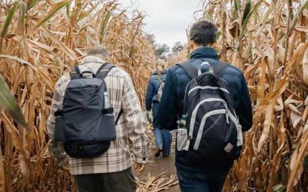 Three adults in jackets, flannels and backpacks with water bottles walking into autumn corn maze.