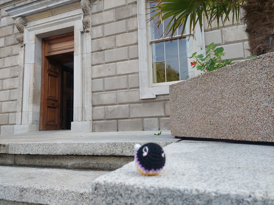 A small non-binary coloured bee plush in front of the main door of Leinster House, where the Dáil (Irish Parliament) is located.