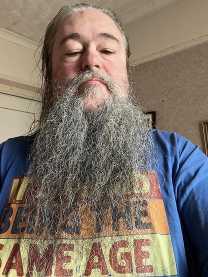 A photograph of me! A white man in my 50s, with long greying hair and a luxuriant flowing beard, wearing a blue t-shirt with text on, but the text is mostly obscured by the beard so I shan't transcribe it. Children can't make up my mind whether I am Gandalf or Hagrid. Behind me you can see one of the walls of my bedroom, which are all pink. I like pink. It makes a room feel warm.