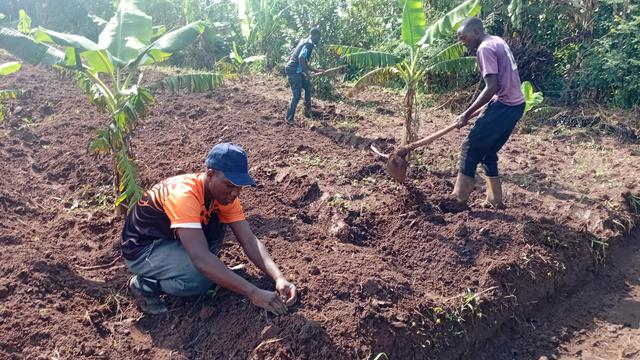 Young farmers from Fill the Empty Stomachs Farming Initiative transplanting the tomato seedlings into the soil.