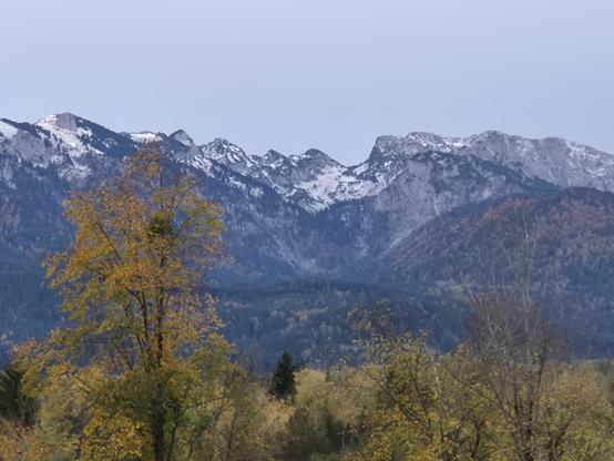A mountain range with snow-capped peaks rises majestically in the background under a clear blue sky. In the foreground, trees display their autumn foliage in a beautiful mix of green and golden yellow, framing the alpine panorama. The crisp contrast between the fresh snow on the distant summits and the warm glow of the fall leaves below captures that magical moment when two seasons meet in the mountains — a sunny, invigorating day where autumn colors and wintry peaks share the same breathtaking view.