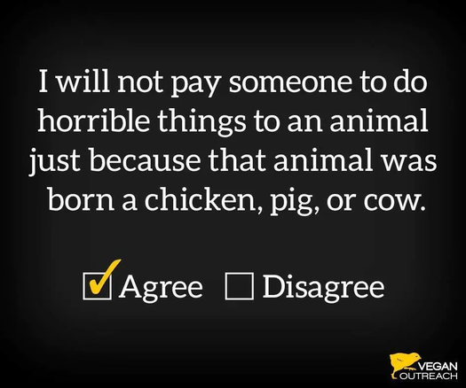 Je ne paierai personne pour faire des choses horribles à un animal, juste parce que cet animal est né poulet, cochon ou vache. #Vegan