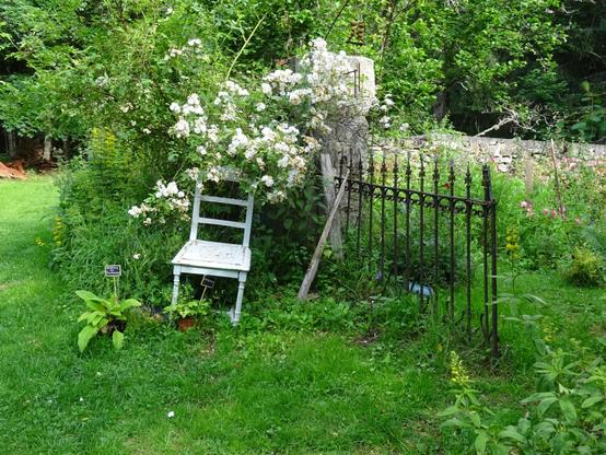 Le jardin des simples d’une copine en Ardèche.  Dans la verdure, on voit une petite barrière en fer forgé qui ouvre sur un fouillis vert. Devant à gauche, une chaise blanche penchée.  A ses pieds, deux plantes avec des étiquettes ardoise pour écrire le nom des plantes.. derrière la chaise, un rosier blanc