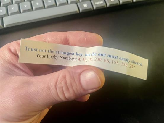 a fortune cookie slip, "Trust not the strongest key, but the one most easily shared. Your Lucky Numbers: 4, 56, 15, 230, 66, 155, 156, 237"