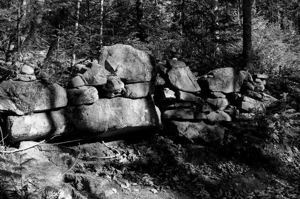 Black and white photograph of large rocks stacked in the forest, forming something resembling a beginning of wall, partially in the sun and crossed by the shadows of trees around. Behind the wall, mainly conifers. In front and lower down the slope, dead leaves and the heads of smaller fir trees.

Photographie noir et blanc de grosses roches empilées dans la forêt, formant quelque chose qui ressemble à un début de mur, partiellement au soleil et traversé par les ombres des arbres autour. Derrière le mur, des conifères surtout. Devant et plus bas sur la pente, des feuilles mortes et la tête de plus petits sapins.