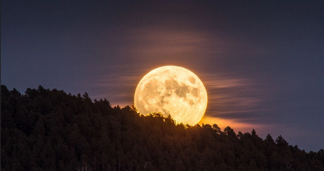 Picture of a huge harvest moon rising over a forested hilltop