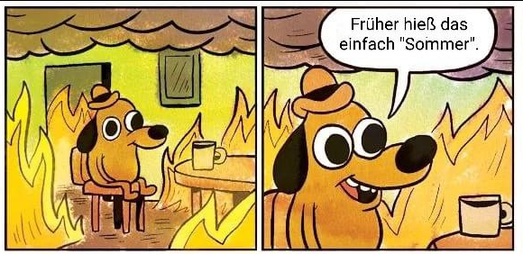 "This is fine" Hunde-Meme abgeändert zu "Früher hieß das einfach 'Sommer'."