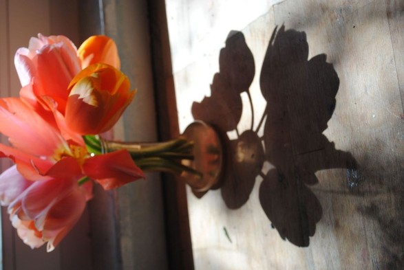 a vertical format image of a bunch of pink and orange tulips in a slender glass vase and the shadow it casts on the wooden desk it is standing on while being lit by bright but dappled sunlight coming in from behind and above the tulips