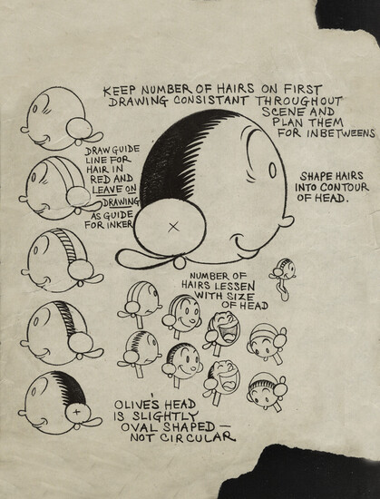 A model sheet showing how to draw Olive Oyl's head in profile, building up the details step by step. Some text: "Keep number of hairs on first drawing consistent throughout the scene and plan them for inbetweens." "Draw guide line for hair in red and leave on drawing as guide for inker." "Shape hairs into contour of head." "Number of hairs lessen with size of head." "Olive's head is slightly oval shaped- not circular."